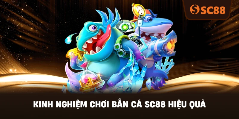 Kinh Nghiệm Chơi Bắn Cá SC88 Hiệu Quả