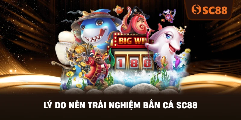 Lý Do Nên Trải Nghiệm Bắn Cá SC88